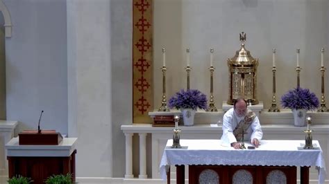 Sunday Mass live stream at 1100 am. . St pius catholic church live mass